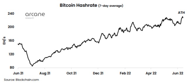 Bitcoin Hashrate